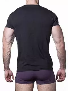 Мужская футболка из натурального хлопка черного цвета Sergio Dallini RTSDT751-2